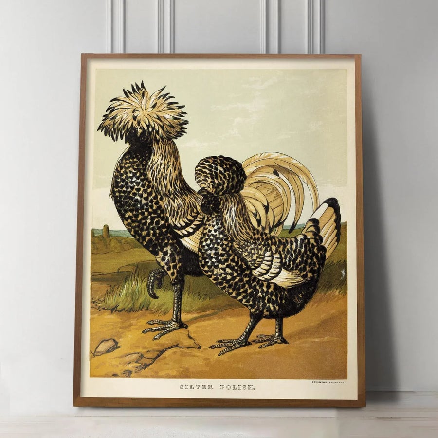 レア！Malekko Spring Chicken Reverb　中古美品 reproduction-vintage-1867-two-