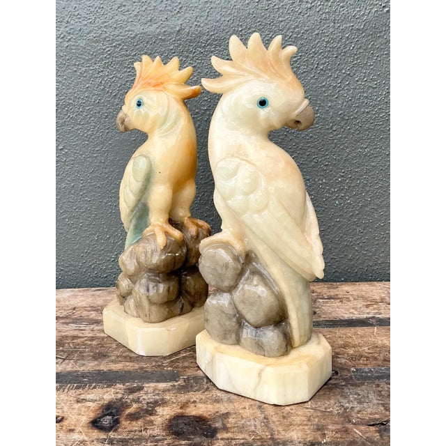 Brown Vintage Onyx and Alabaster Cockatoos - A Pair For Sale - Image 8 of 12