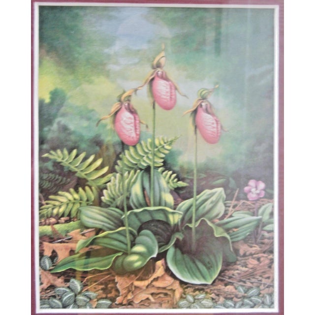The Teresa Pennington Two Botanical Giclee Prints Framed are original, contemporary landscape prints featuring floral...