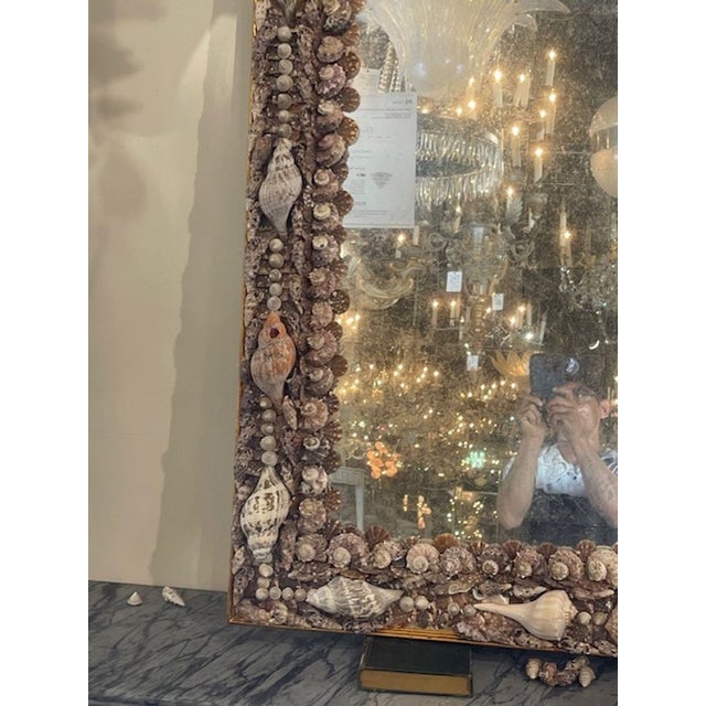Late 20th Century Vintage Sea Shell MIrror For Sale - Image 5 of 8