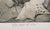 Renaissance "Que Pico De Oro" (What a Golden Beak) by Francisco Goya For Sale - Image 3 of 8