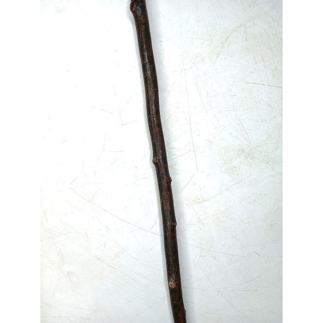Late 19th Century Antique Bone Handle, Sterling Collar, Cane For Sale - Image 5 of 11