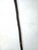 Late 19th Century Antique Bone Handle, Sterling Collar, Cane For Sale - Image 5 of 11