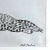 Folk Art 1962 "Reclining Leopard" Pen Drawing by Paul Carlino, Framed For Sale - Image 3 of 4