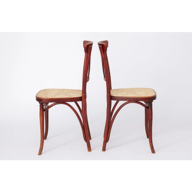 Viennese Café Chairs, Set of 4 For Sale - Image 9 of 18