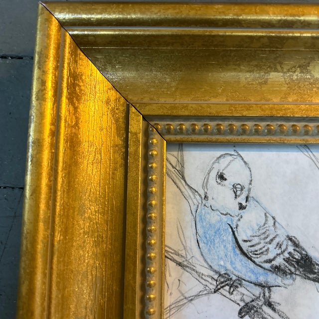 Contemporary Contemporary Original Anna Heigh Parakeet Colored Pencil Drawing For Sale - Image 3 of 5