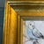 Contemporary Contemporary Original Anna Heigh Parakeet Colored Pencil Drawing For Sale - Image 3 of 5