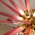 Super Sputnik Ceiling Lamp! We present you one of our most original and fun lamps. It is a ceiling lamp made up of a...