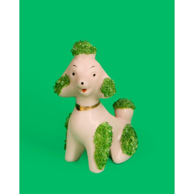 Green Beaded Pink Poodle Contemporary Dog Still Life Photograph 8x10 In For Sale