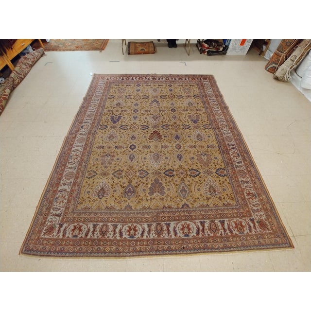 Antique Persian Sultanabad Carpet Handmade Soft Yellow Ground All Over Design For Sale In New York - Image 6 of 16