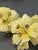 These lovely Pale Yellow Frosted Flower and Crystal Earrings from Austria are sure to garner lots of oohs and aahs when...