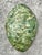Vintage Italian Scagliola Pigmented Plaster Turtle Shell For Sale - Image 10 of 12