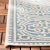 Contemporary Pool House Indoor Outdoor Rug Cream & Blue 4'x6' For Sale - Image 3 of 4