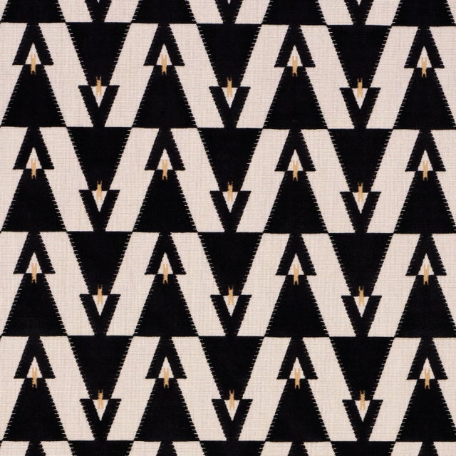 SAMPLE - Schumacher Kalido Velvet Fabric In Onyx For Sale