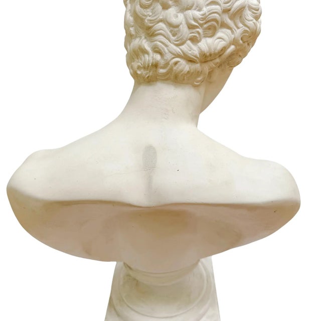 White Large Scale Antinous Plaster Bust For Sale - Image 8 of 9