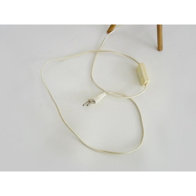 Rattan Lamp in the style of Louis Sognot, 1950s For Sale - Image 10 of 11