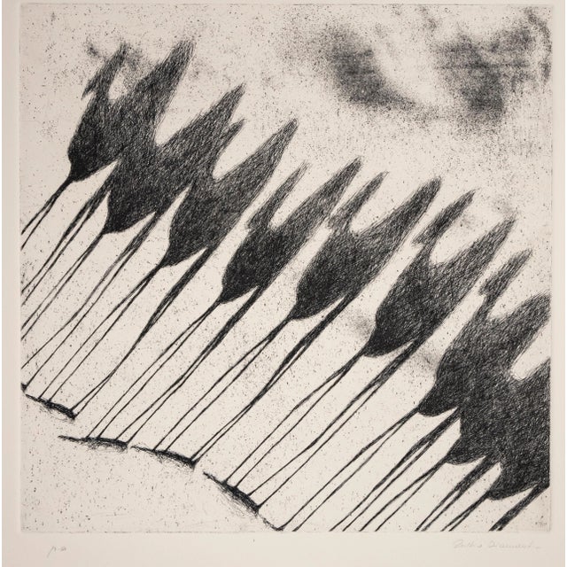 Tullio Diamanti, Shadow of Camels, Original Etching, 1980 For Sale