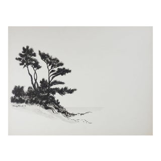 Vintage Coastal Pine Tree Landscape Pen & Ink Drawing For Sale
