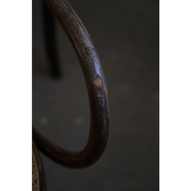 Mid-Century Vienna Chairs in Beech & Cane by ZPM Radomsko for Thonet 1960s, Set of 6 For Sale - Image 9 of 18