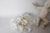 Ceiling Lamp with White Murano Glass Flowers by Hosel, 1980s For Sale - Image 17 of 18