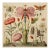 Insects and Flowers – Natural History Fine Art Print For Sale