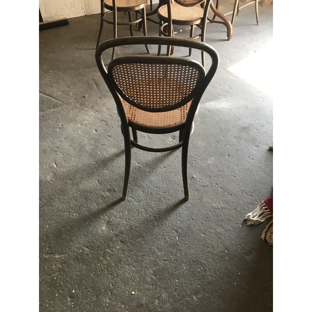 Oval Dining Chairs & Table in Wood Cane, Germany, 1960s, Set of 7 For Sale - Image 6 of 13