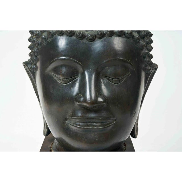 Late 19th Century Monumental Antique Thai Buddha Head Circa Late 19th C For Sale - Image 5 of 6