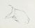 Abstract Ink Portrait Drawing by James L. Bruch For Sale - Image 4 of 8