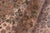Textile Medallion Heritage 1990's Pak-Persian Beige/Gold Wool Rug - 8'0'' X 10'2'' For Sale - Image 7 of 9