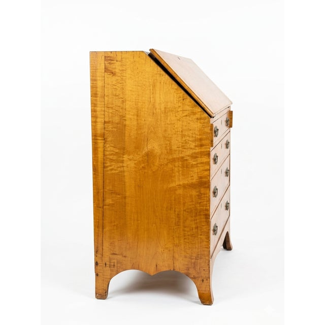 American Gorgeous Signed 18th Century American Tiger Maple Hepplewhite Federal Style Desk Secretary Chest For Sale - Image 3 of 8