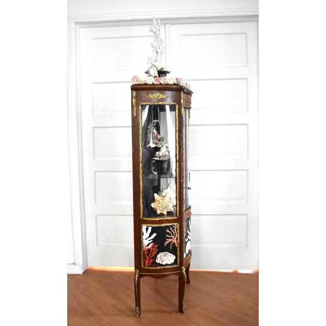 Kunstkabinett of Shells by Susannah Carson For Sale - Image 11 of 13