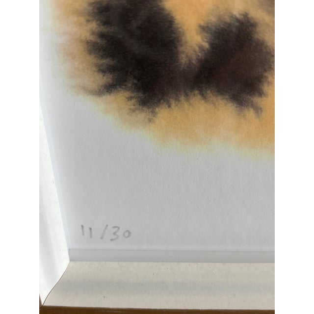 Contemporary Rop Van Mierlo Framed Limited Edition Print For Sale - Image 3 of 6