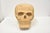 Vintage Large Solid Wood carved skull. LARGE FOLK ART HAND CARVED WOOD SKULL ; CARVED FROM SOLID PIECE OF TREE - 15" x 21"...