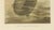 Paper P. J. Smit, Soft River Tortoises, 1895, Lithograph For Sale - Image 7 of 9