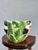 A joyful and boldly sculpted majolica bowl featuring a life-sized toucan emerging from a dense tropical leaf surround —...