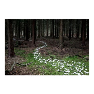 Ellie Davies, Knit One, Pearl One 9, 2011, Photograph For Sale