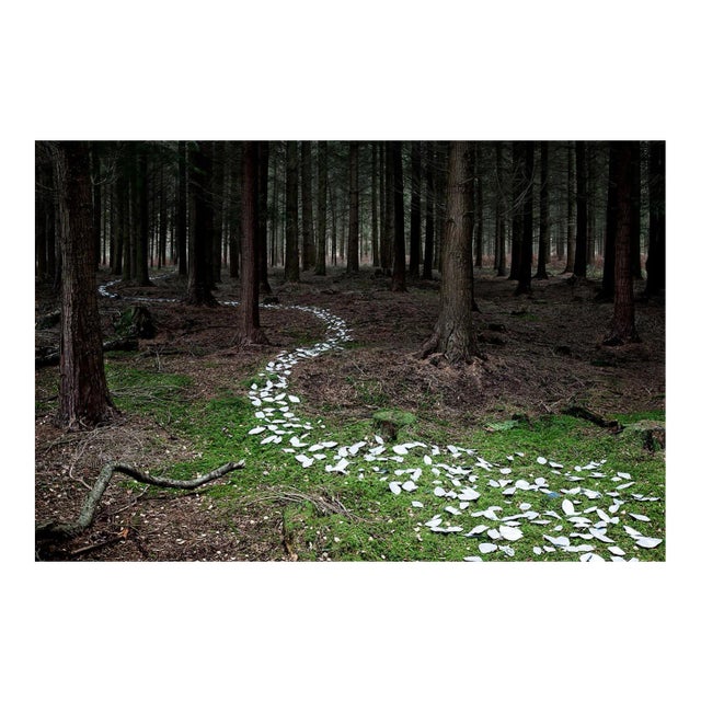 Ellie Davies, Knit One, Pearl One 9, 2011, Photograph For Sale
