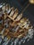 Vintage Italian Chandelier from Banci Firence For Sale - Image 9 of 10