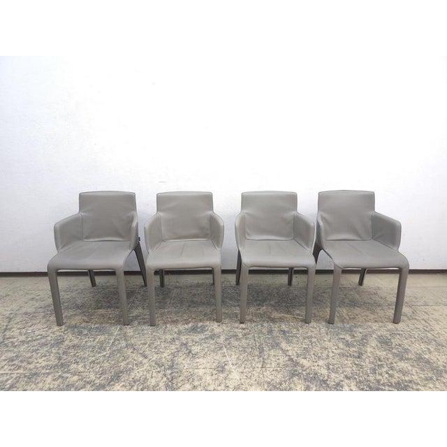 Gio Chairs in Leather by Walter Knoll, Set of 8 For Sale - Image 15 of 18
