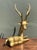 Graceful and timeless, this vintage solid brass deer sculpture beautifully captures the quiet elegance of wildlife through...