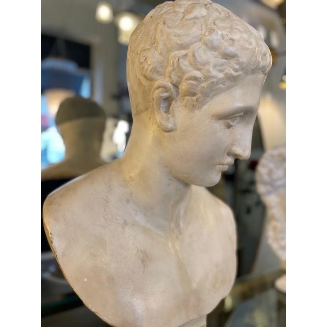 Paint Unknwon, Plaster Bust of the God Hermes, 1900, Gesso For Sale - Image 7 of 18