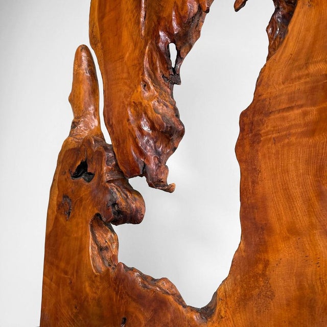 Monumental Japanese Root Wood Sculpture, 1950s For Sale - Image 14 of 18