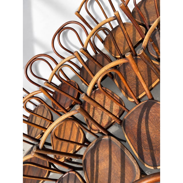 French Wood Bistro Chairs in the style of Thonet, France, 1940, Set of 60 For Sale - Image 4 of 13