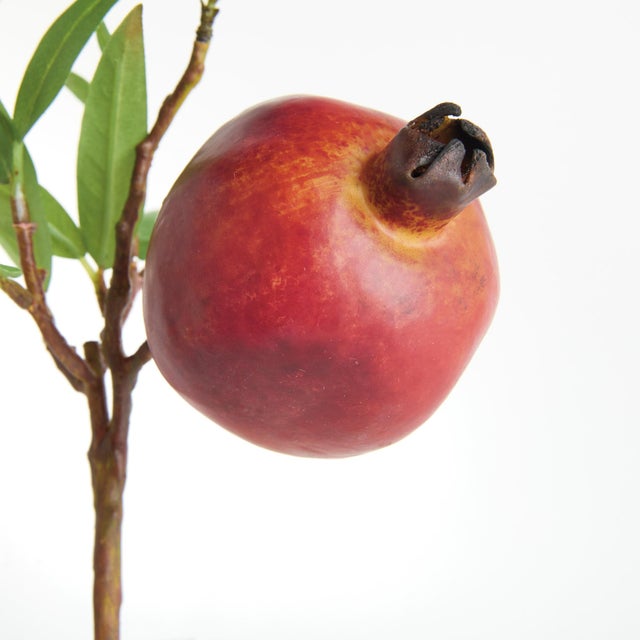Early 21st Century Pomegranate Picks 10" St/4 For Sale - Image 5 of 8
