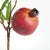 Early 21st Century Pomegranate Picks 10" St/4 For Sale - Image 5 of 8