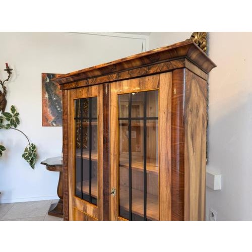 Brown Biedermeier Display Cabinet, 1840s For Sale - Image 8 of 18