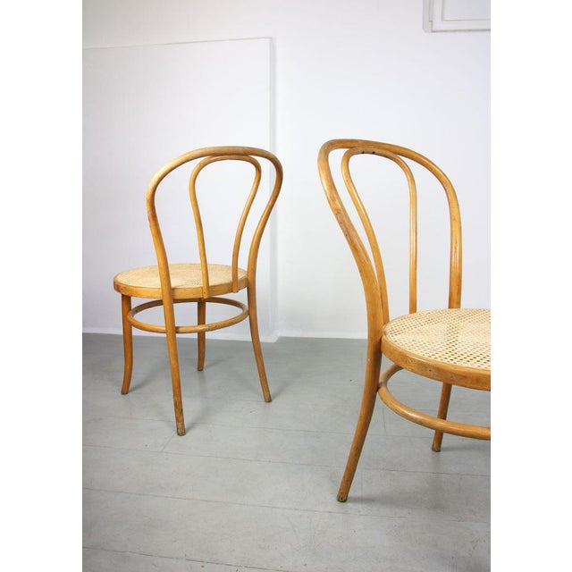 Set of No. 18 Wide Chairs by Michael Thonet For Sale - Image 17 of 18