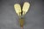 Cream Mid-Century Brass and Glass Wall Light from Kamenický Šenov, Czechoslovakia, 1960s For Sale - Image 8 of 13