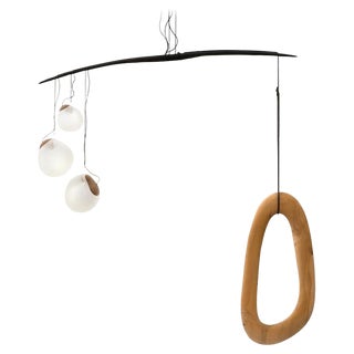 Fluxus Sculpted Lighting by Jérôme Pereira For Sale