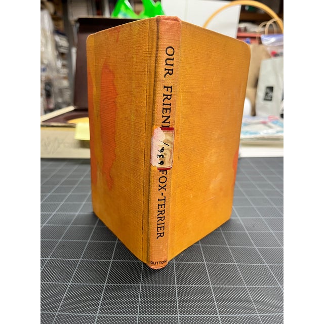 1933 Our Friend the Fox Terrier Book For Sale In New York - Image 6 of 7